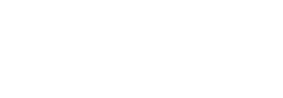 dex2021_mv_logo