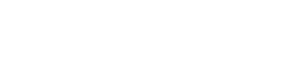 導入フロー