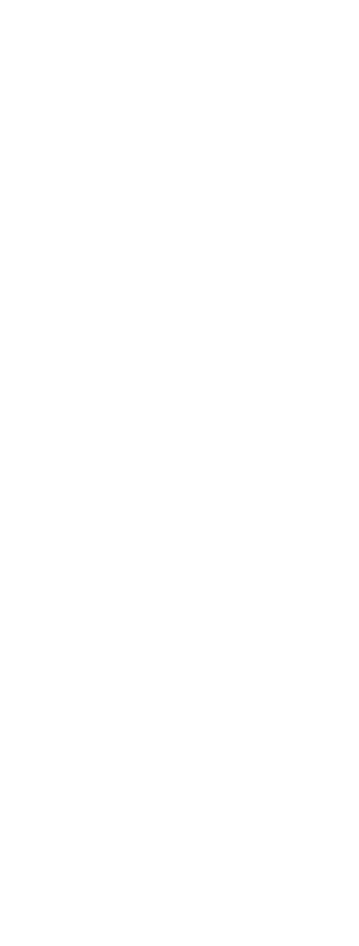 導入フロー